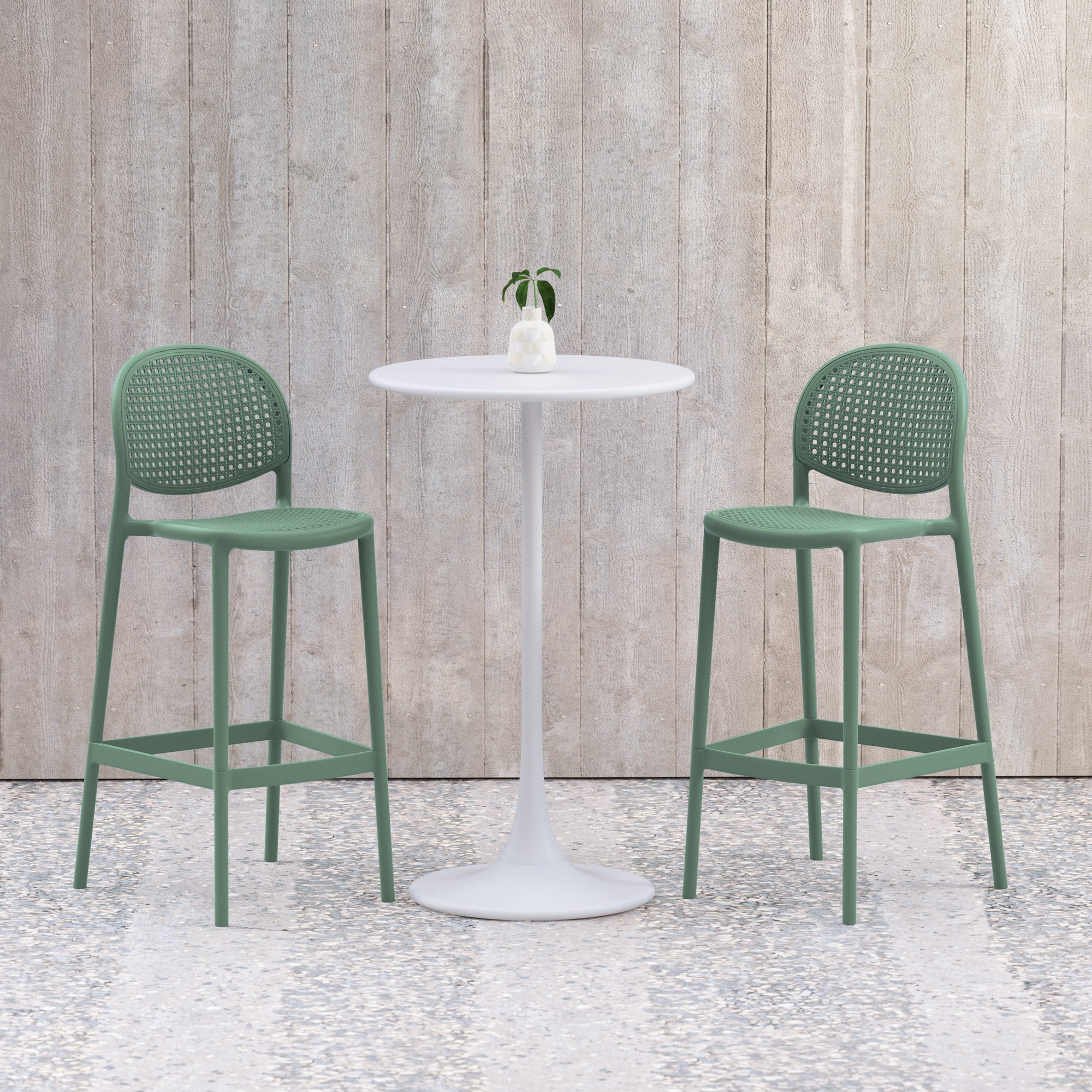 Joss Indoor and Outdoor Bar Stool - Aloe Green - Set of 4