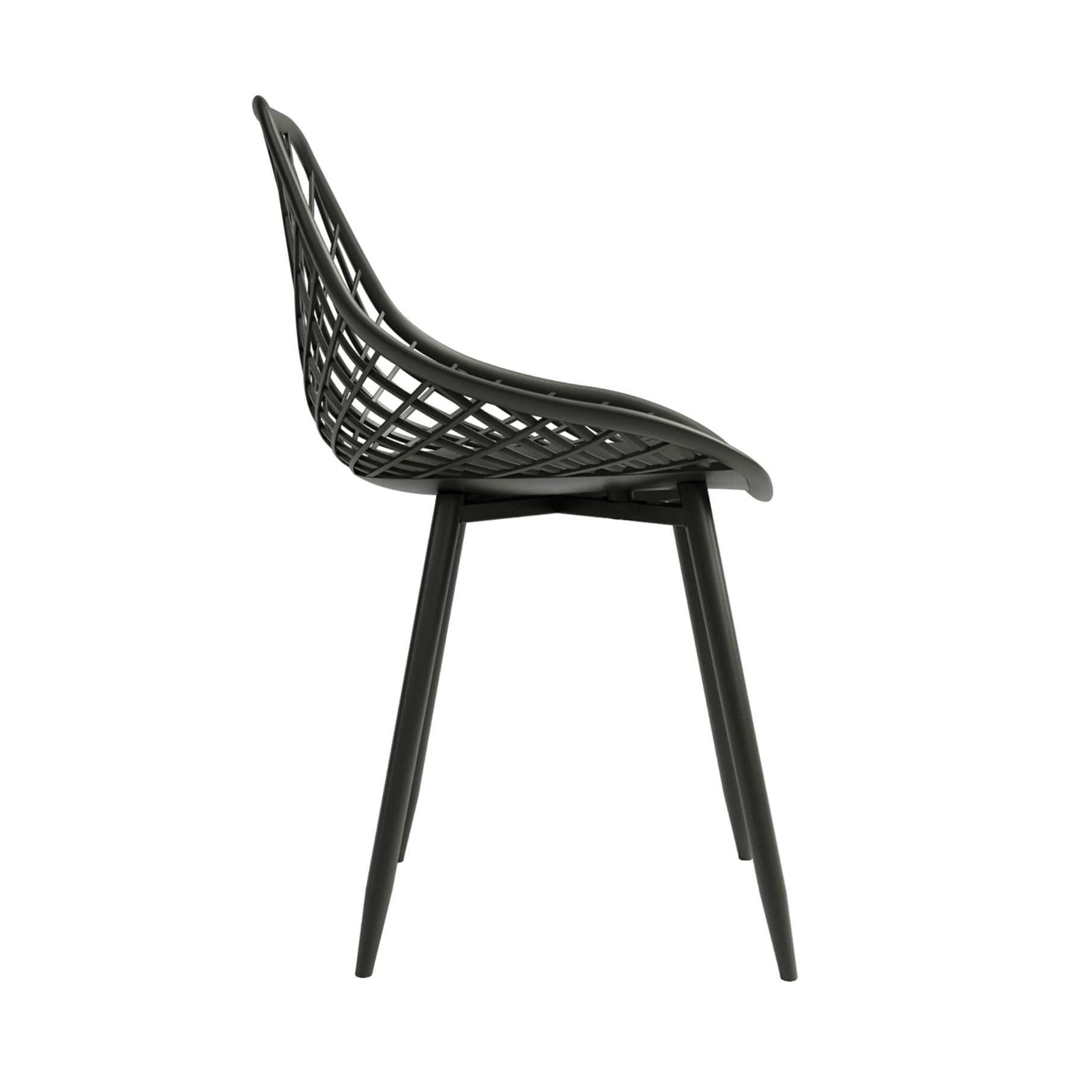 Black with black legs